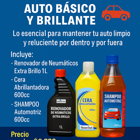 Promoción B “Auto Básico y Brillante"