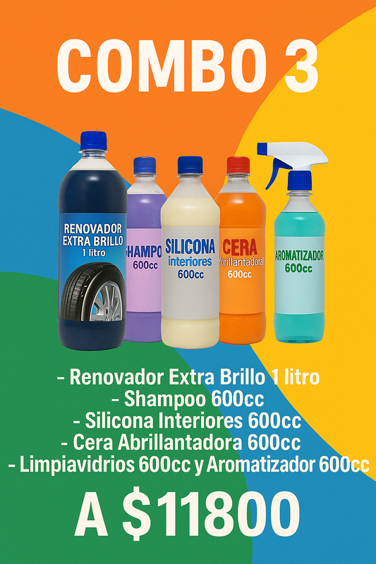 Combo 3: “Auto Premium Detailing”